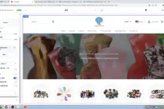 独立站搭建与SEO优化全攻略：56节实战课程