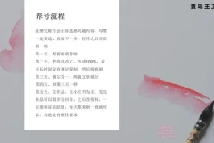 小红书宝宝起名副业实战：一键操作+专业软件
