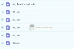 【2023春上】小学语文 二年级 A+于戈子琦