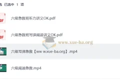 大学英语 2025刘晓燕四六级急救班（保命班） 6月12月