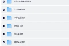 《瑜伽课程合集(七大系列)》[MP4]