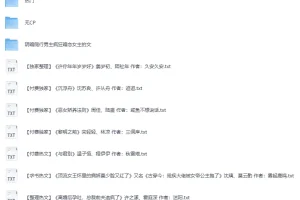 《热门付费小说300》[TXT]