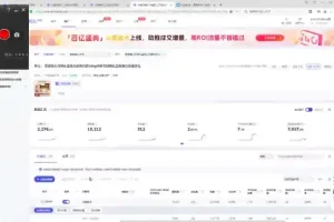 2024淘宝电商实战：自然搜索与付费推广全攻略