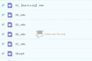 【2023春上】小学语文 二年级 A+于戈子琦