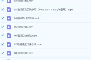 武文成 2024高三高考物理 春季班