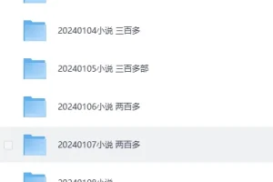 《2024付费小说合集》1月份+2月份