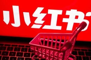 小红书虚拟电商选品专栏课：助虚拟电商创业者打开选品视野，突破选品瓶颈