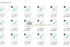 婷婷讲成语 儿童智慧启蒙有声读物