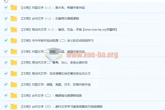 达吾力江文学常识专题课11讲带讲义