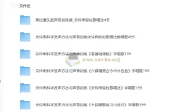 宋伶俐老师声乐课程合集