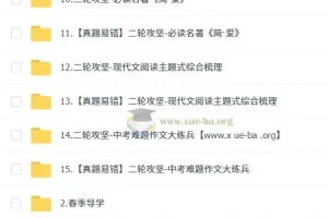 2025 段微微 初三语文 中考语文培训班 春上·全国版·A+