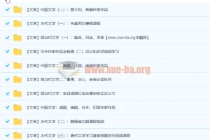 达吾力江文学常识专题课11讲带讲义