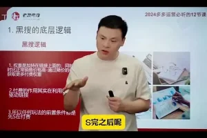 《2024拼多多爆款店铺速成：12节课30天销量飙升》