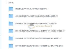 宋伶俐老师声乐课程合集