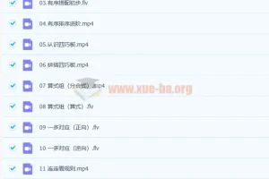 杨彬 2020暑 中班升大班数学思维目标S班（22讲完结带讲义）