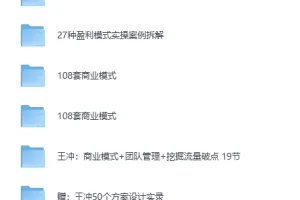 《王冲 -27种盈利模式课程合集》[MP4]