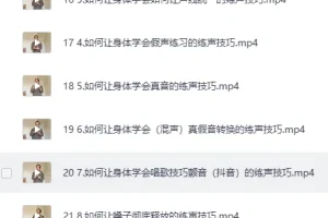 《全网最全-付费声乐技巧唱歌技巧乐理课程视唱练耳教程合集》[MP4]