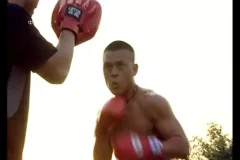 《20.5G中国武术与格斗教学视频：从传统到实战全覆盖》