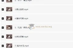 蔡丹君老师 提纲挈领读《红楼梦》