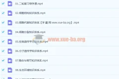 2021高一化学 康永明 秋季课【完结】