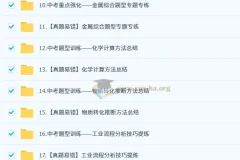 2025 陈潭飞 初三化学中考化学培训班 （春下·全国版·A+）