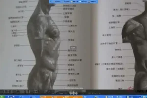 插画基础入门：SAI与Photoshop完全教程