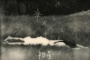 欧阳娜娜《The Star 初星》[无损FLAC/MP3/477MB]
