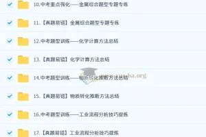 2025 陈潭飞 初三化学中考化学培训班 （春下·全国版·A+）