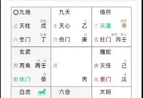 《奇门遁甲实战应用98集：从入门到精通》