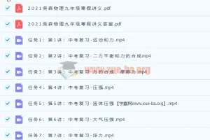 2021年柴森九年级物理寒假班（初三中考物理）8讲带讲义完结