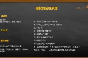 陈凯期权交易系统