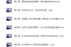 《高质量男性社交手册：认识女生的艺术》[MP4]