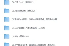 《AI+自媒体+RPA变现训练营，写作变现+AI使用+SEO+多平台运营+RPA自动化》[MP4]