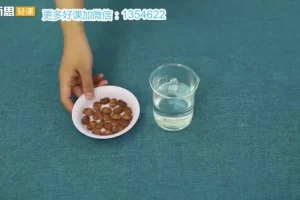 学而思轻课：好奇实验室中文科普动画全集