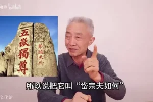 戴建业B站微课：100+期幽默解读经典诗词，轻松学传统文化
