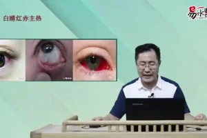《王涛面诊自学教程：望诊色诊眼诊等全方位解析》