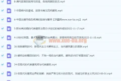 王受之教授：世界建筑史（现代篇）完结36集