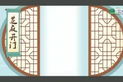 妙老师《小学语文基础大全》全攻略
