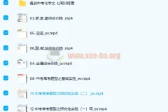 初中化学 张立琛 2021春 初三化学春季系统班 13讲带讲义