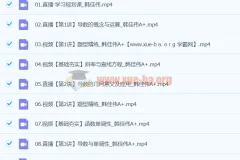 2024高中数学 高二数学 韩佳伟 寒假班