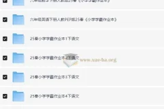 小学学霸作业本·语数英 (2025春)