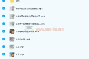 高中化学 赵毅 2021暑假 高二暑假化学985班 6讲完结带讲义