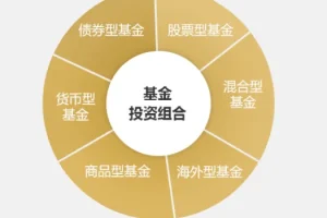 简七《理财基金超值组合》