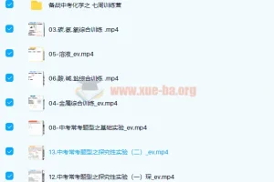 初中化学 张立琛 2021春 初三化学春季系统班 13讲带讲义