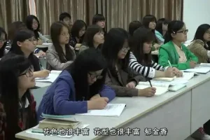 花艺插花教程：从入门到精通