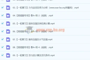 2023-2024初三物理 廉思佳物理 寒假班