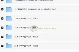 小学学霸作业本·语数英 (2025春)