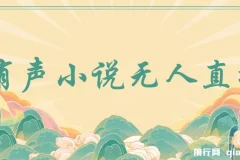 有声小说无人直播，睡着觉日入500，保姆式教学
