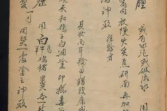 《德国某大学收藏的稀缺中医古籍》[PDF]