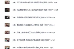 《B站付费课-李兴兴AE+PR高能秘籍课》[MP4]